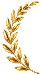 hinh-kp88-1