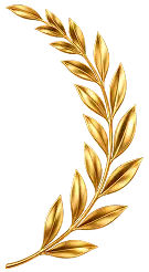 hinh-kp88-2
