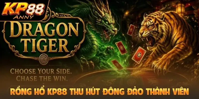 Rồng hổ KP88 thu hút đông đảo thành viên